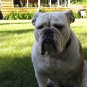 Danielle Pepin - @Pepin07Pepin - Twitter