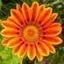 Karen Bruce Szmyd (@kszmyd) Twitter profile photo