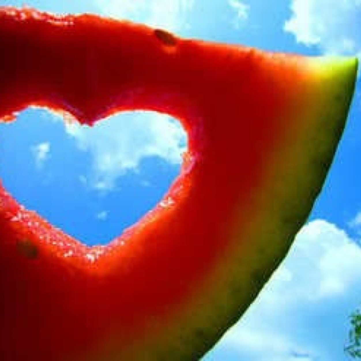 soccerbella4's profile picture. Dancing is my life! Followed by @burnham, @jeyyounit11, @theryanbeatty, @hwoodending & @TheRealPsanders ;)