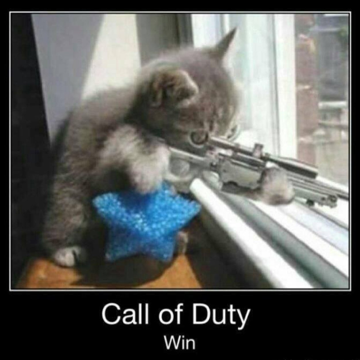 TOXIC_TN's profile picture. 