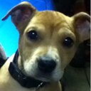 Cathy Snider - @csnider3 - Twitter