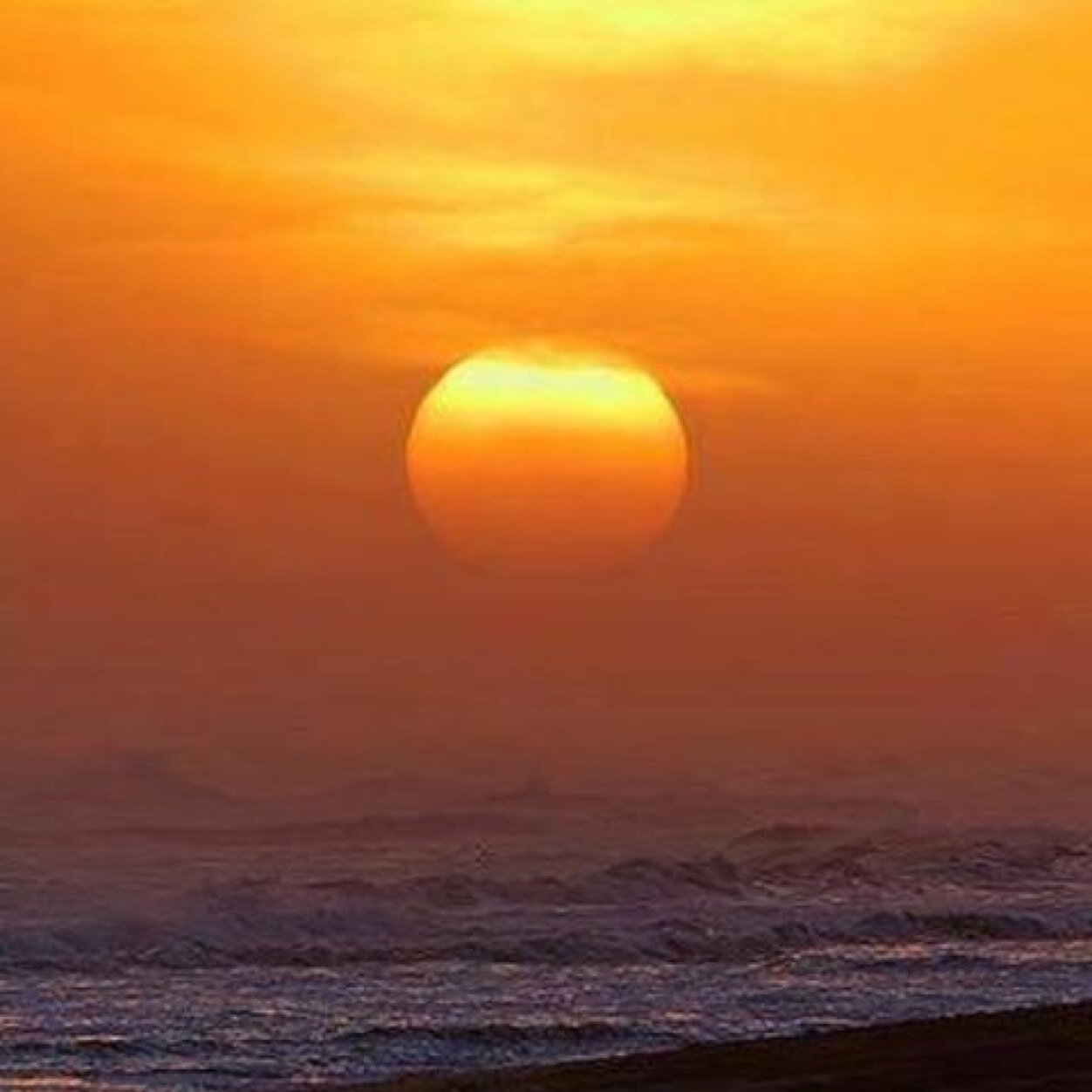 Taniap76's profile picture. 