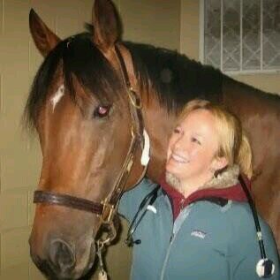 PalmettoEquine's profile picture. Excited to provide quality veterinary care for the horses of upstate South Carolina! Specializing in surgery, sports medicine, lameness, and emergency care.