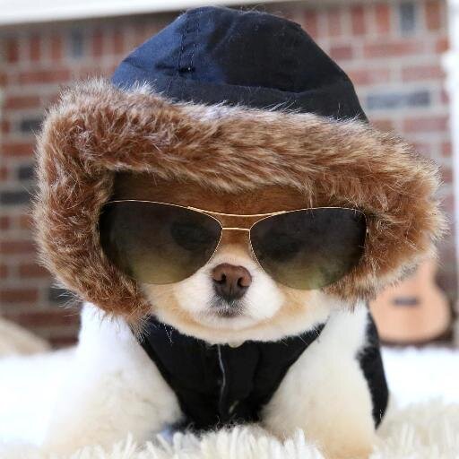 geminus_v's profile picture. 