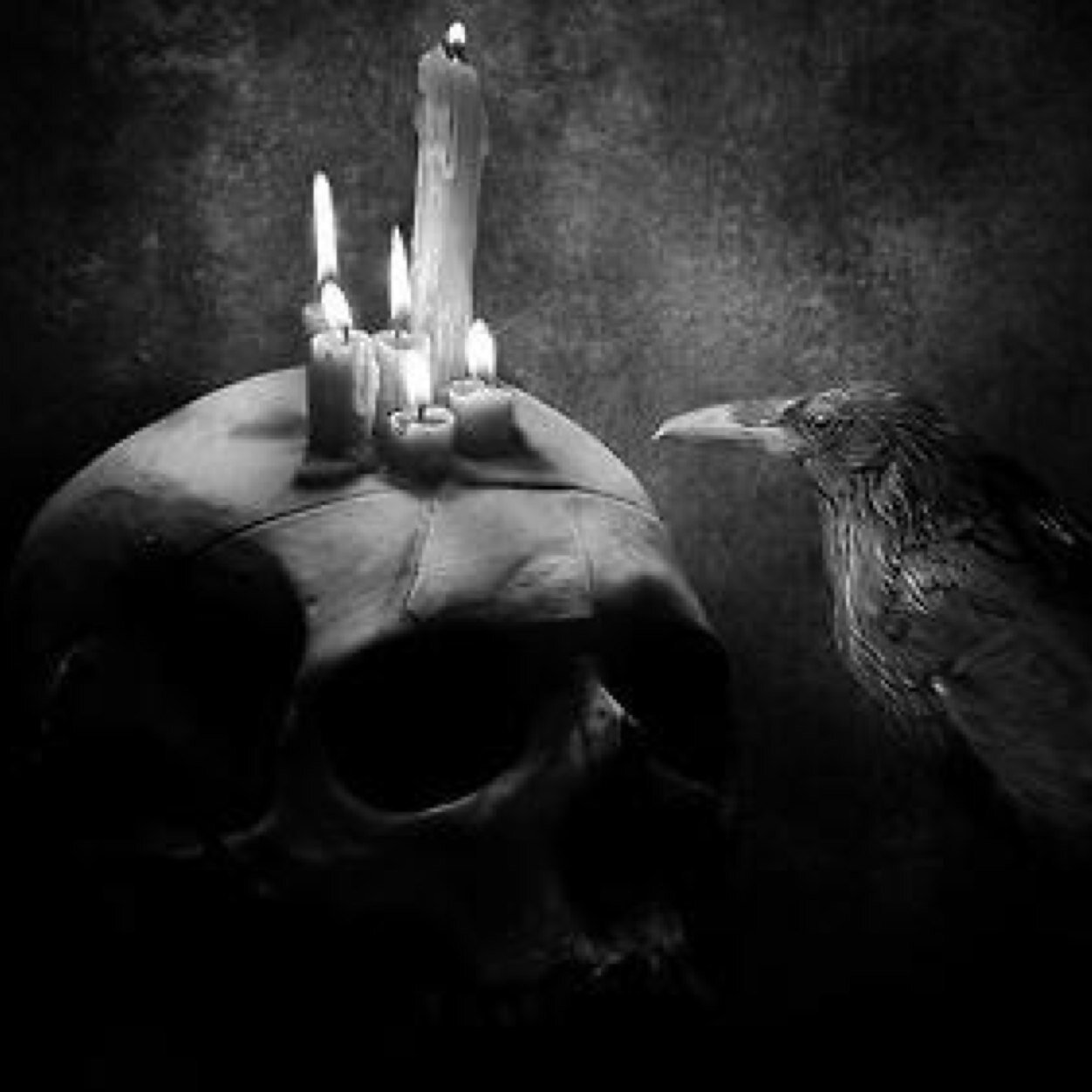 We are the cracks in all you dream about. We are the noises in your attic. We are the people you were warned about. We are the monsters in your closet.