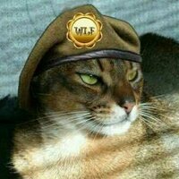 Razzy Cat (@razzycat) 's Twitter Profile