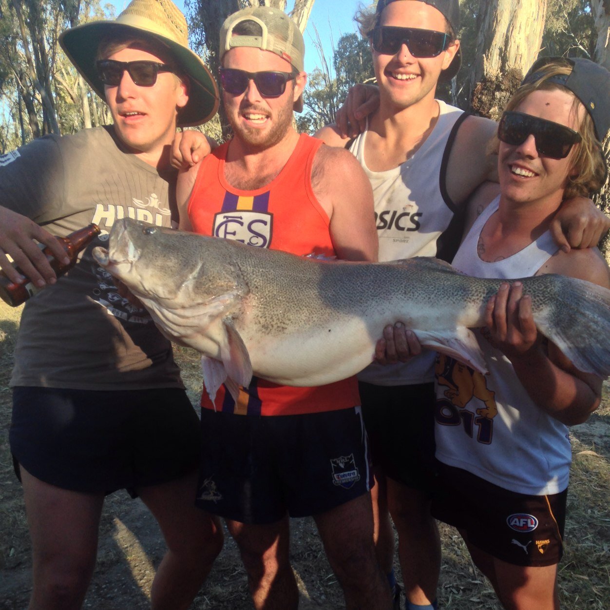 Bendigo, full sportsman!