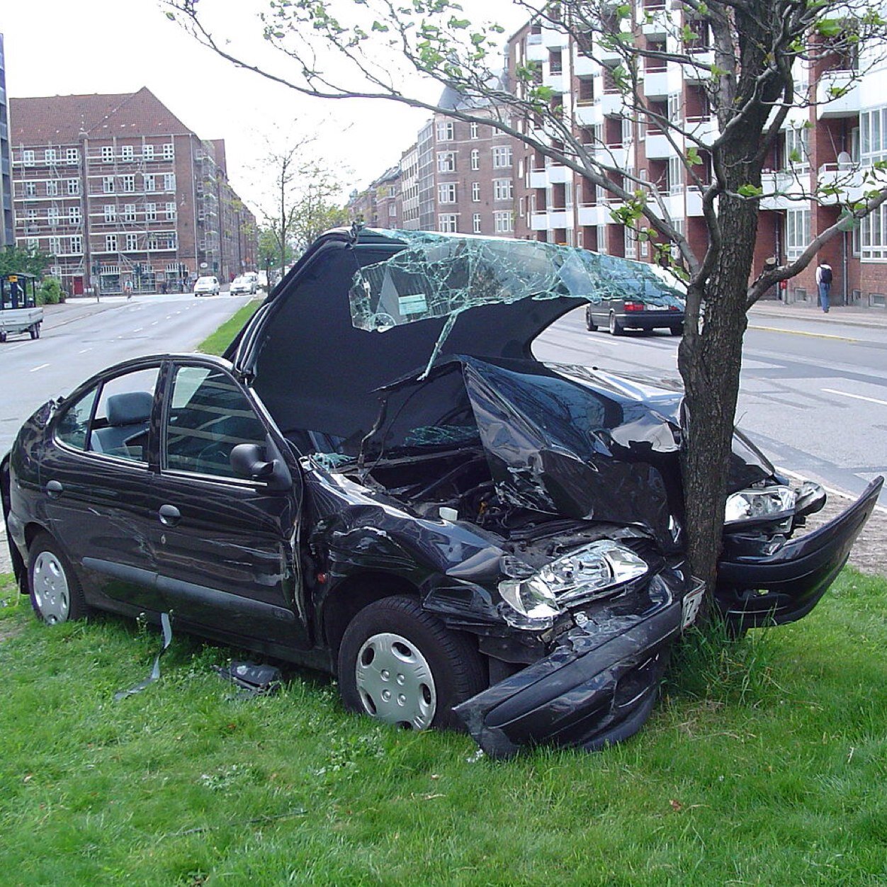 DONTDUI101's profile picture. 