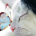 Lorena Thomas - @Lorena23T - Twitter