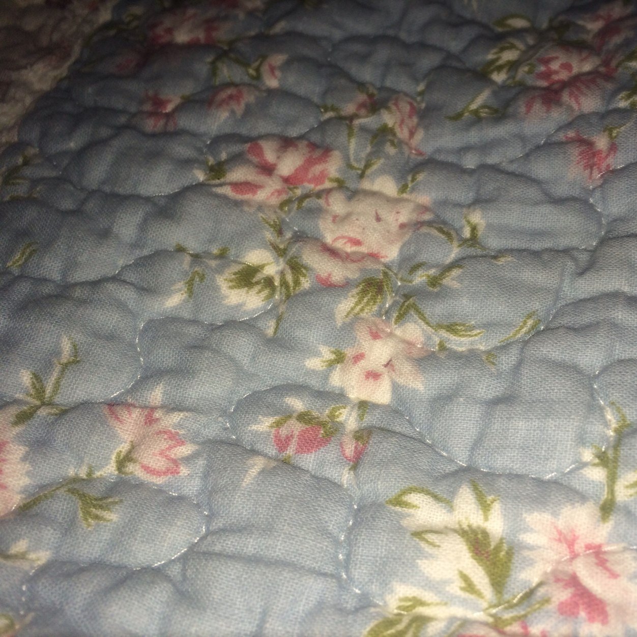 tongoy66's profile picture. 