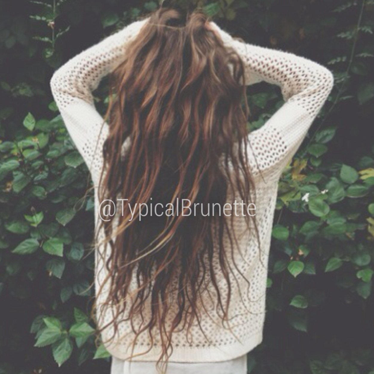 TypicaIBrunette's profile picture. Oh you're not a brunette? That sucks.