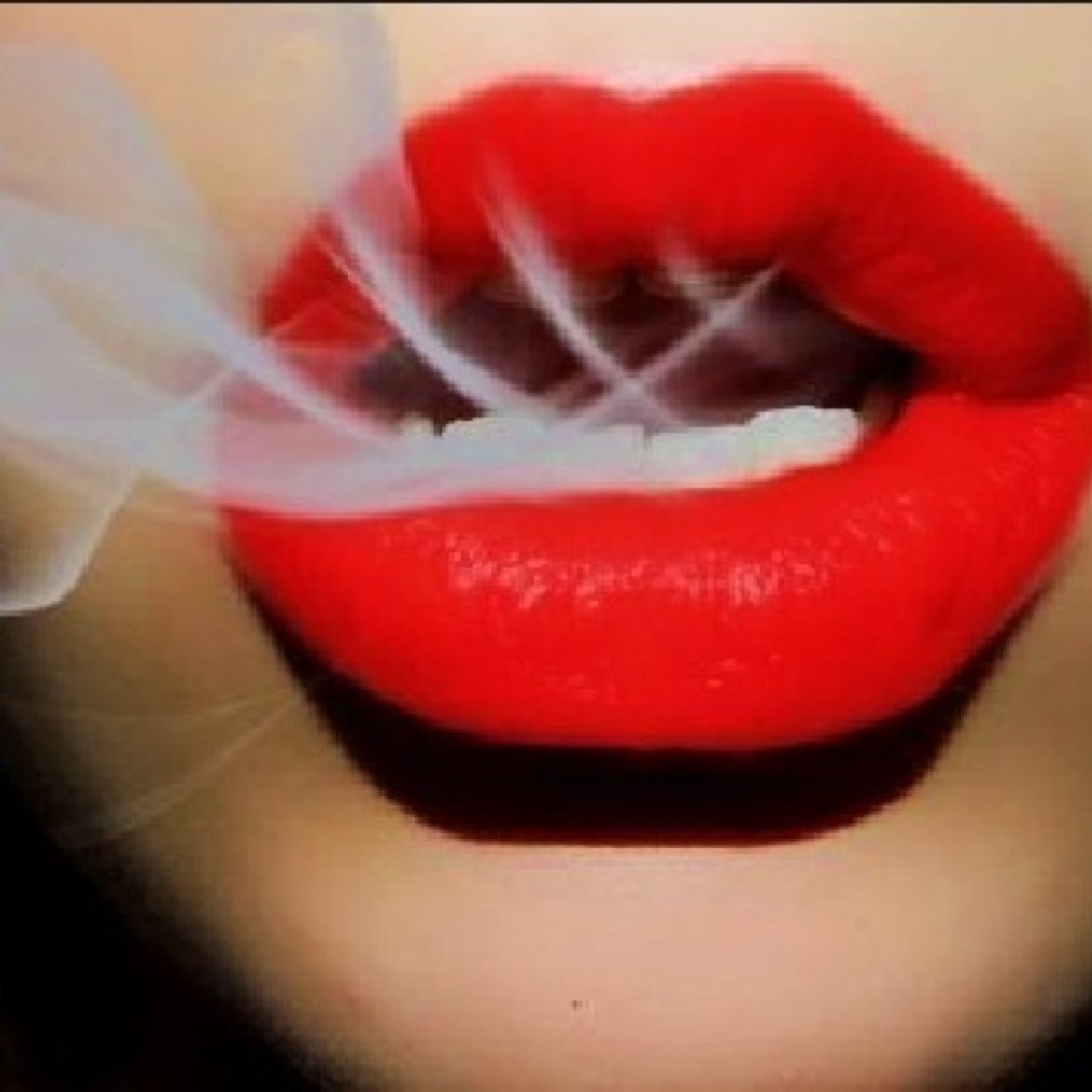 Stay High