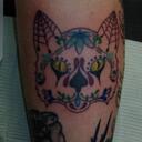 carrie dill - @DMfan13 - Twitter