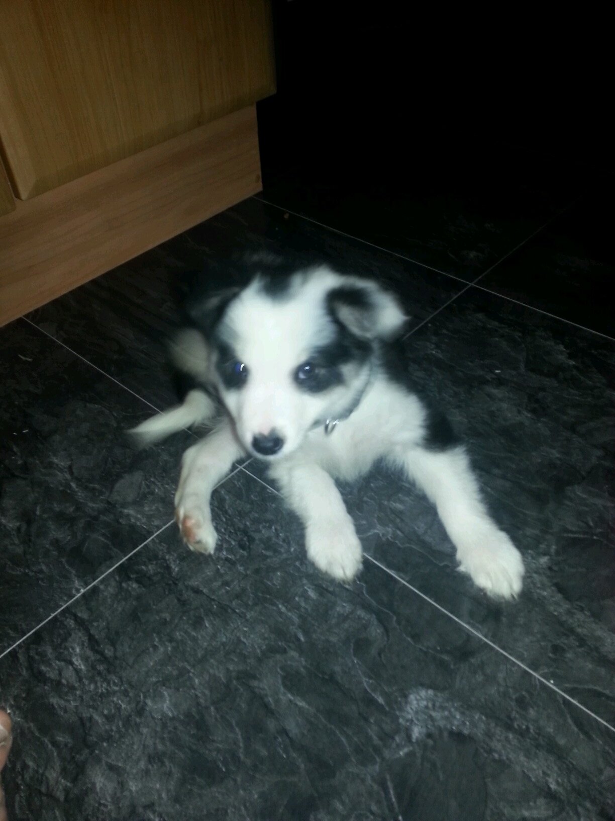 Hangmansj0ke's profile picture. 