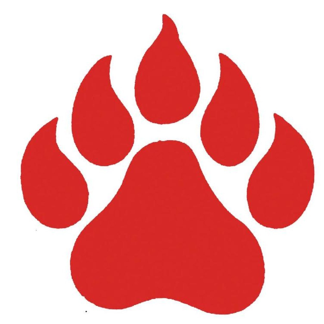 USJSoftball's profile picture. 