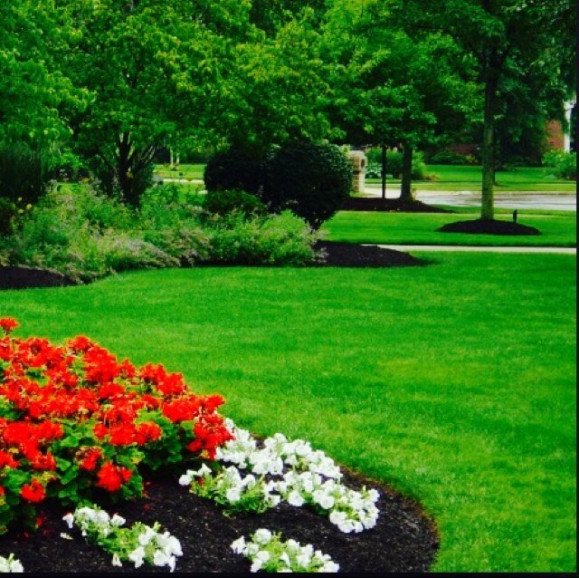 Premium lawn cuts featuring the professional services of Green Scapers. Mowing, trimming, and beautiful lawns. Book Online Today!