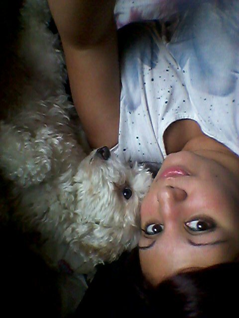 dmalvestiti's profile picture. 