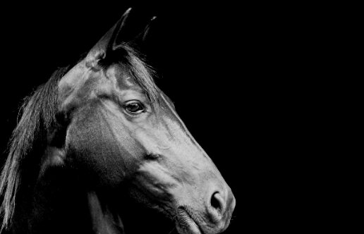 aq711474's profile picture. 