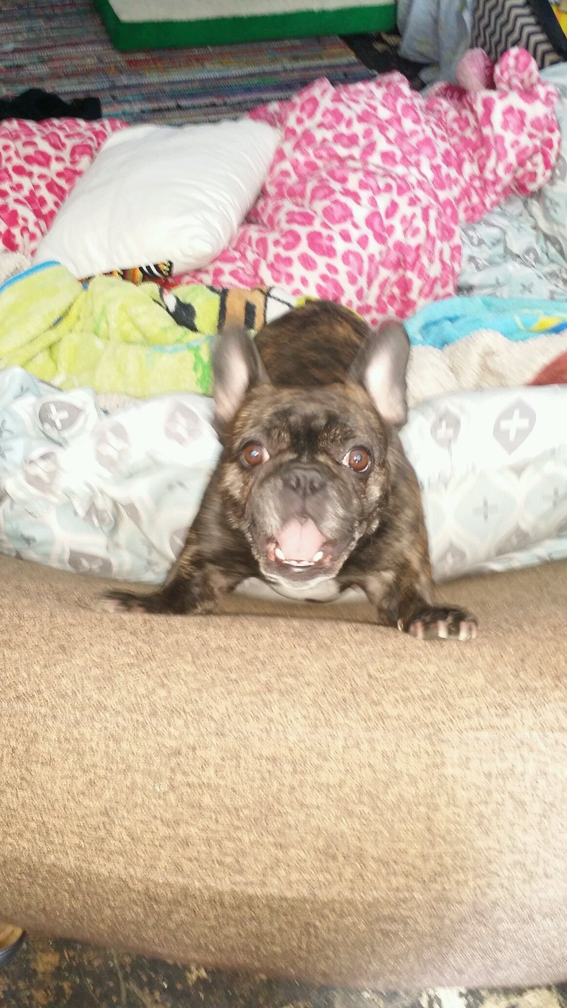 _Faith_C17's profile picture. 