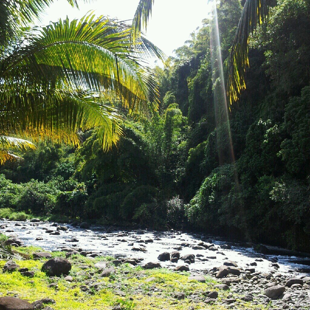 Saint-Benoit 2014 Nout' vill, Nout' vi! Penser et agir différement dans l'intérét de tous! #LaRéunion