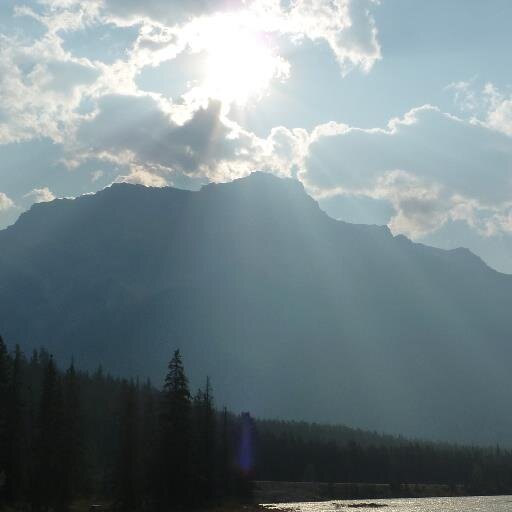 GoBlueJaysGo's profile picture. 