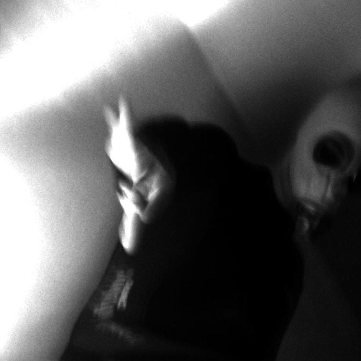 2traum's profile picture. 
