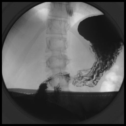 httf's profile picture. 