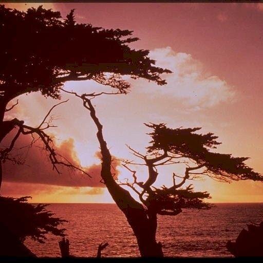 aifhammurabi1's profile picture. 