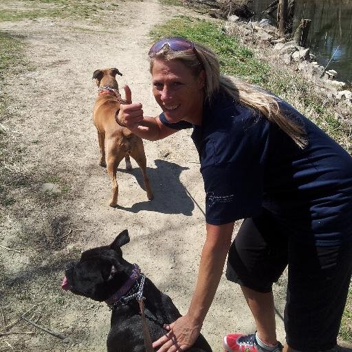Veterinary Technician, Foster mom for Boxers, Bully Breeds.