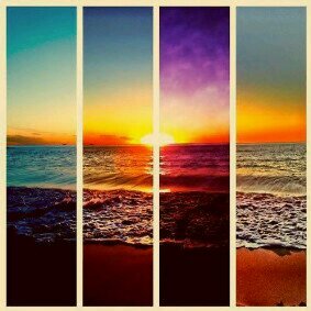 TazlynP's profile picture. YOLO