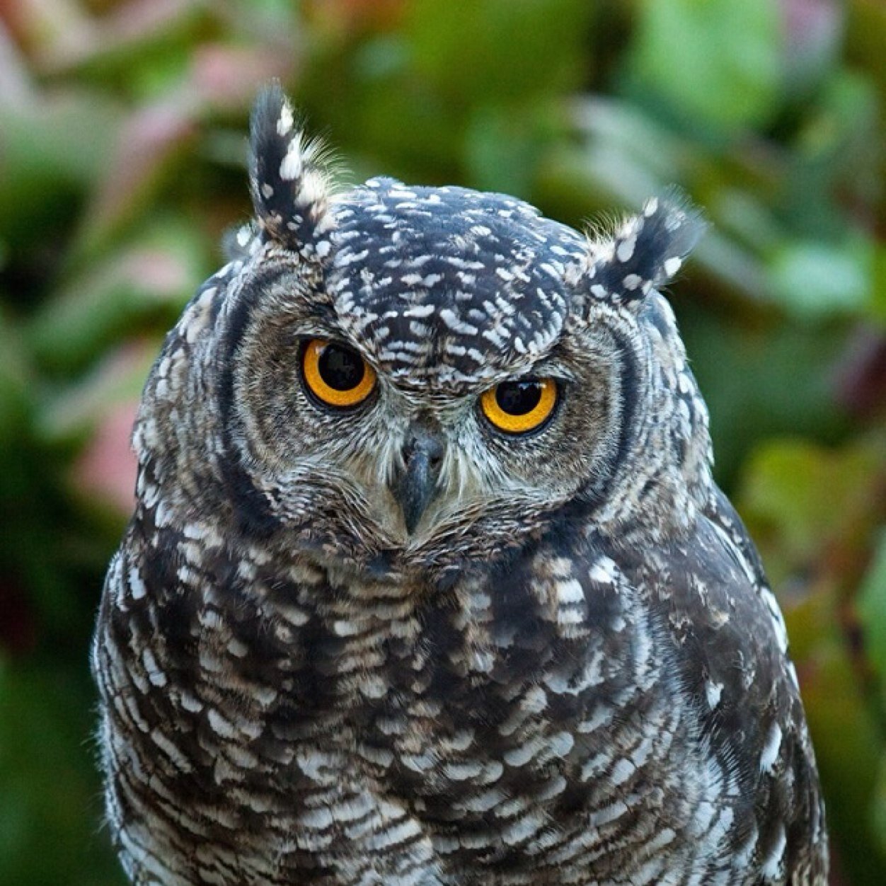 JacqulynHenness's profile picture. 