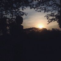 nelsonleecf (@_darthdarrpey) 's Twitter Profile
