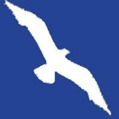 Au fil de mes plumes, perdues, offertes, dispersées