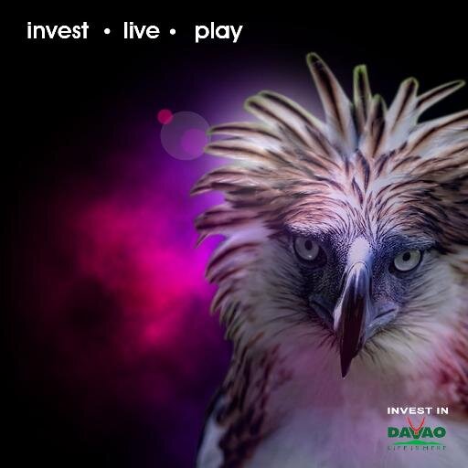 The Davao City Investment Promotion Center (DCIPC) is division of the City Mayor's Office.