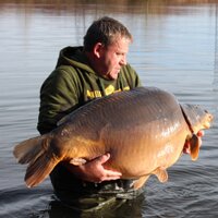 Max Cottis (@maxcottis) 's Twitter Profile