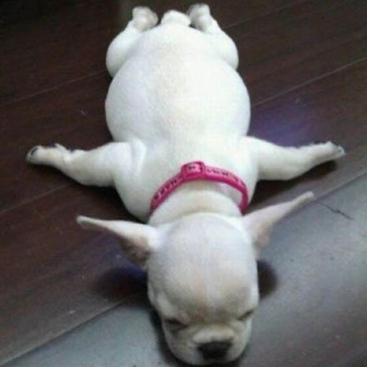 tiffaniblythe's profile picture. 