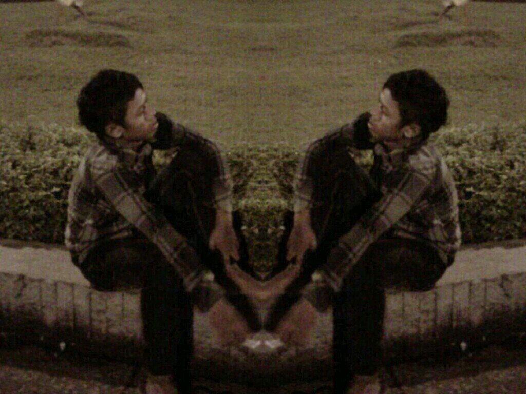 I.N.E.S