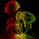 Tera Foster - @teraf85 - Twitter