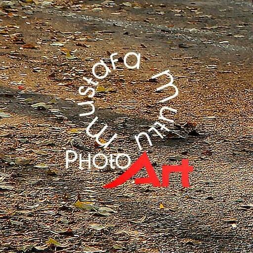 Profesyonel Fotoğrafçı Ekipman : Canon EOS 5D Mark II