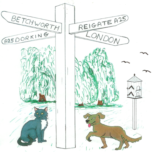 Kennels & Cattery, Hydrotherapy Centre & Grooming Service