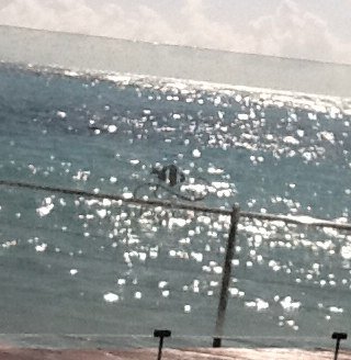 WillBeresford's profile picture. 