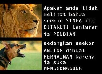 rraiys's profile picture. 