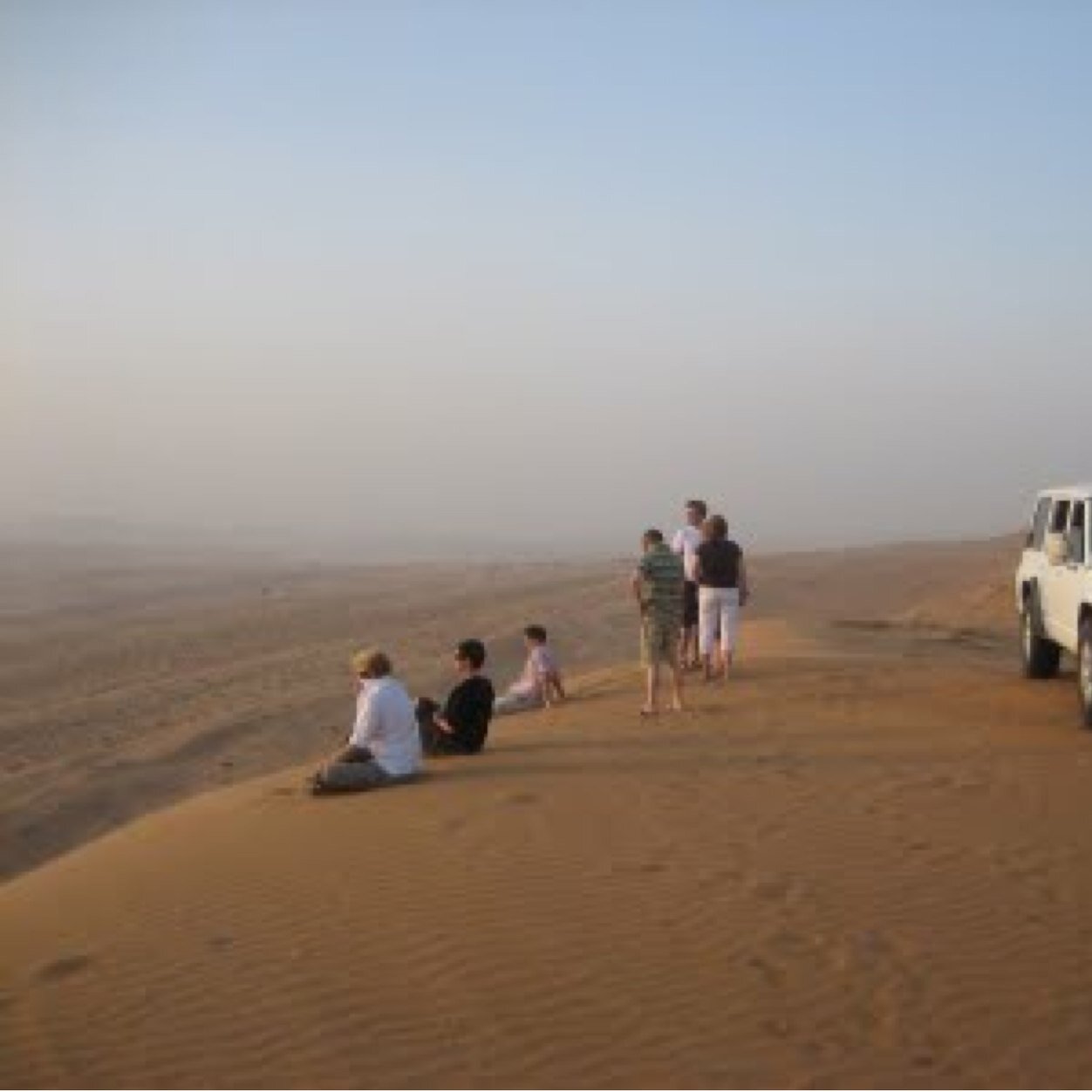 temaroma's profile picture. Consultoria