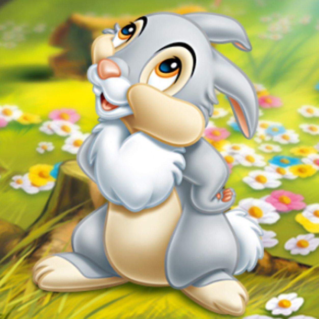 とんすけ Parnyan 30 Twitter とんすけ Parnyan 30 Twitter