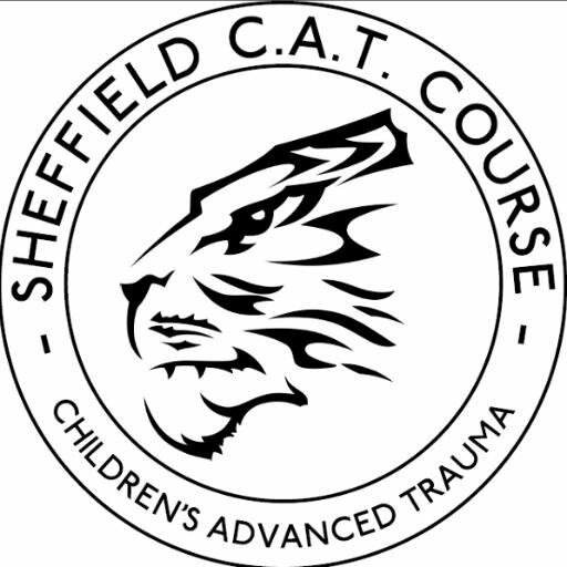 catcourse's profile picture. Major paediatric trauma training