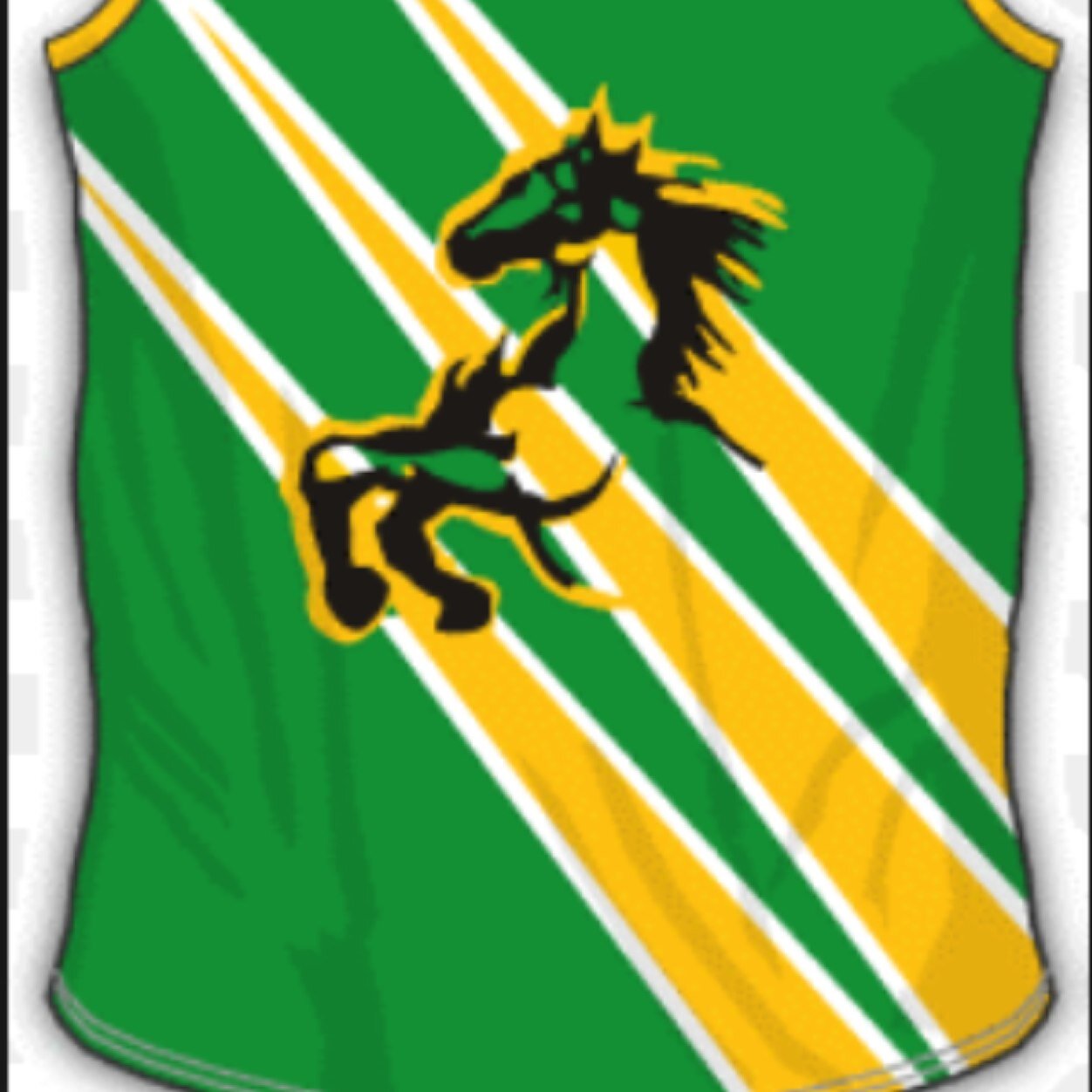 Mooroolbark Football Club play in Division 1 in the Eastern Football League. Under 9's - Seniors