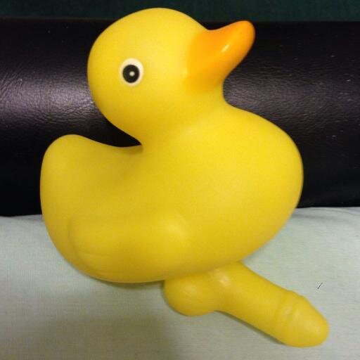 OMG IT'S THE REAL NINJA DUCKS PRODUCTIONS ACCOUNT