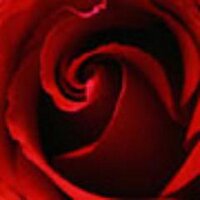 انا كتكوته (@totanaser125) 's Twitter Profile