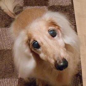 vindy1021's profile picture. 魂入った音、格闘技、落語、お笑いがすきです＾＾
人生で大切なのは、愛することと許すこと。
「かけた情けは水に流し　受けた恩は石に刻め」