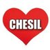 Chesil Beach Watch (@chesilbeachinfo) Twitter profile photo
